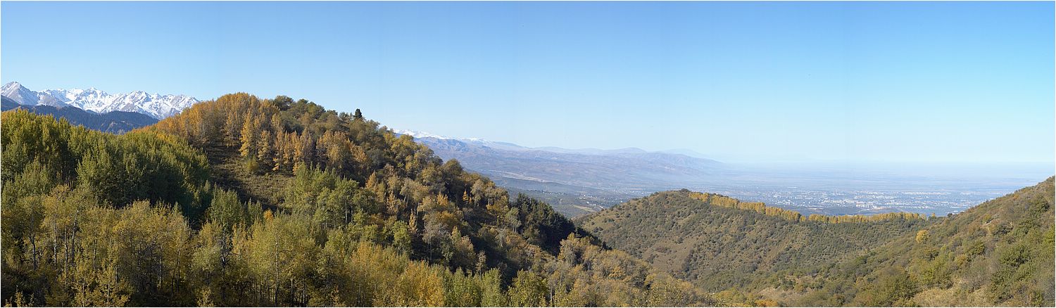 panorama1.jpg