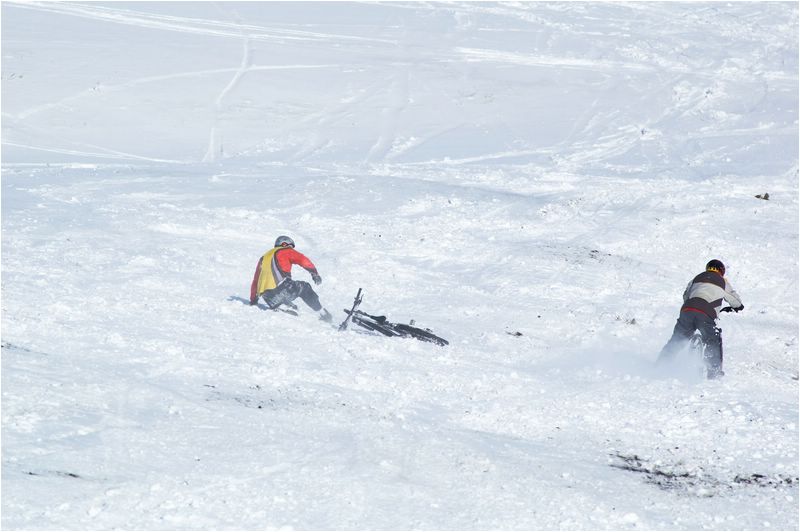 DSC_3786.jpg